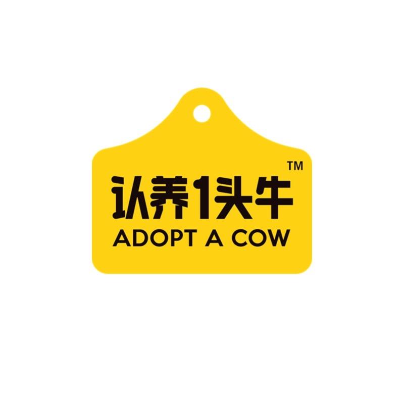 认养一头牛冰淇淋直播间