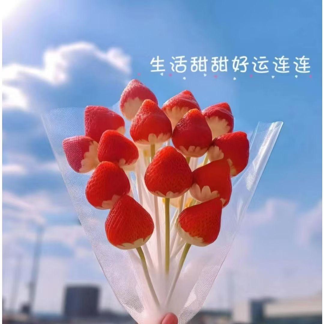 丰城兔宝宝全屋定制（林安店）