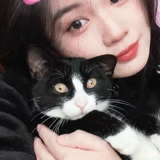 银角是只猫
