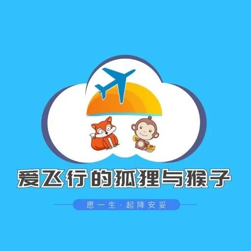 爱飞行的狐狸与猴子（落地版）