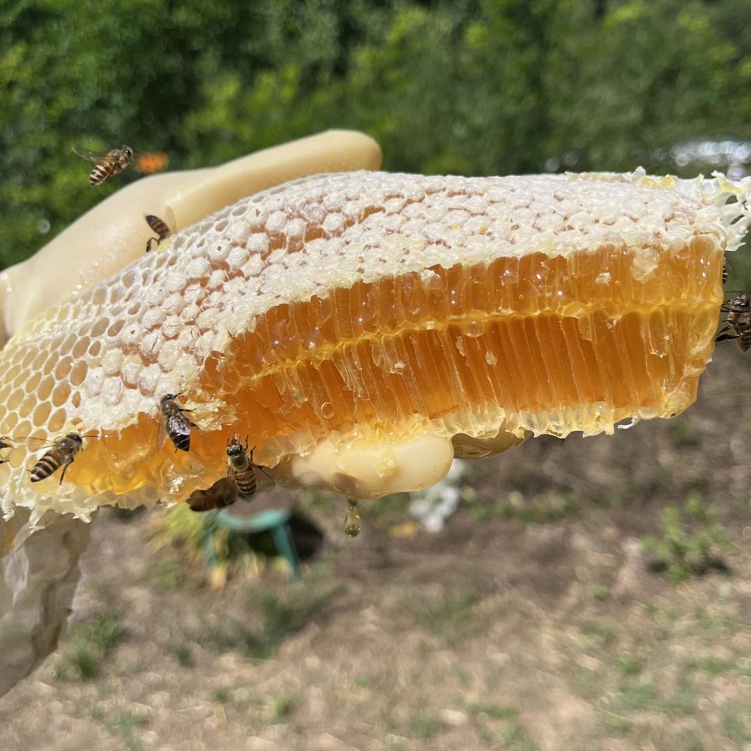 百顺土蜂蜜