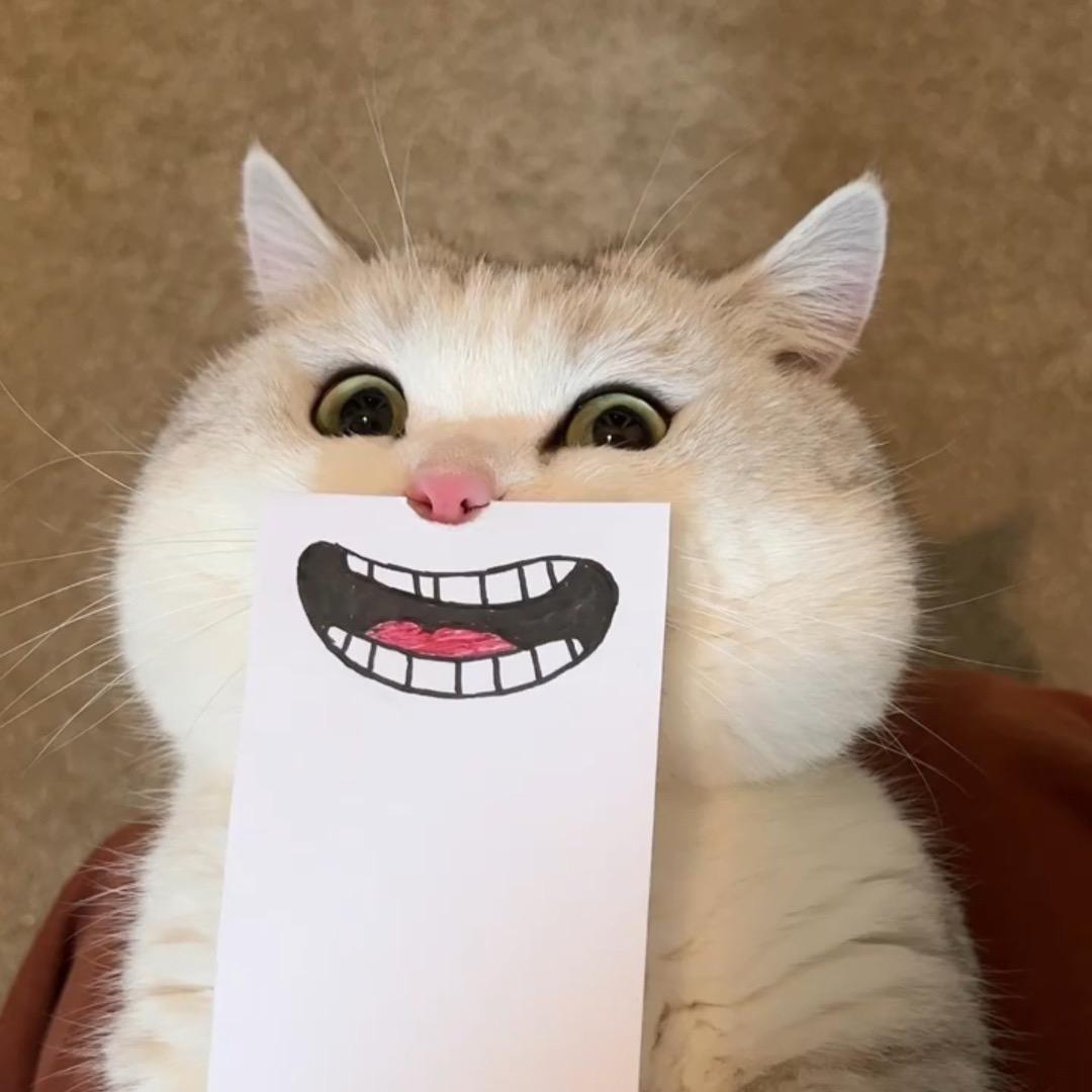 游小轩