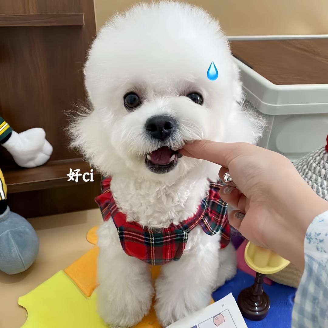 Nomi比熊糯米