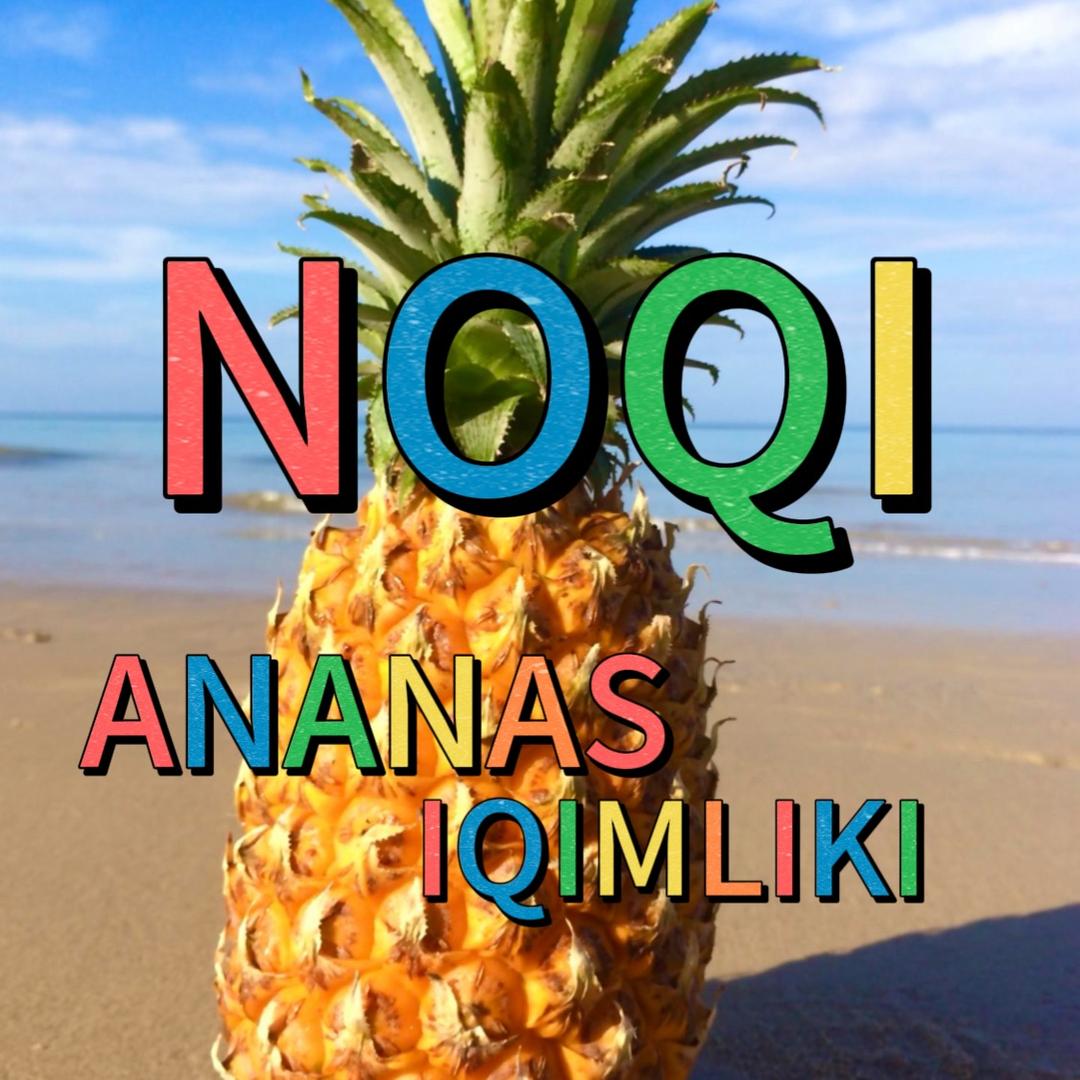 🍍NOQI 🍍