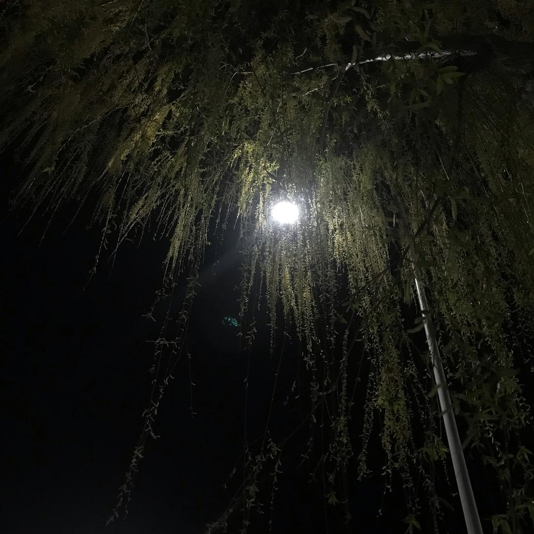风多多