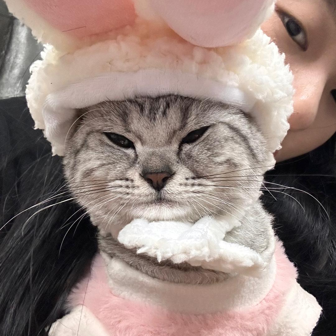欢妈🐈‍⬛