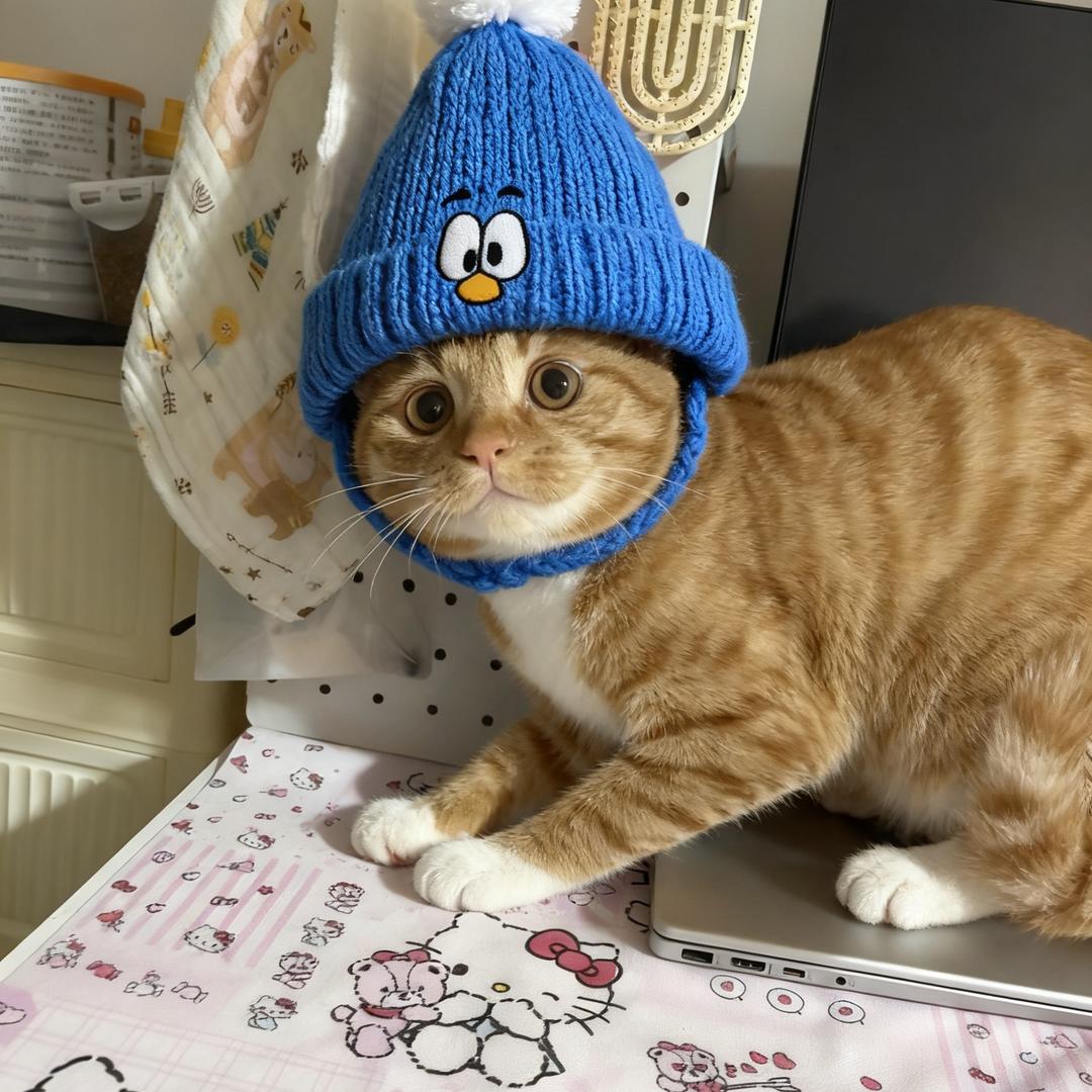 爱猪猪