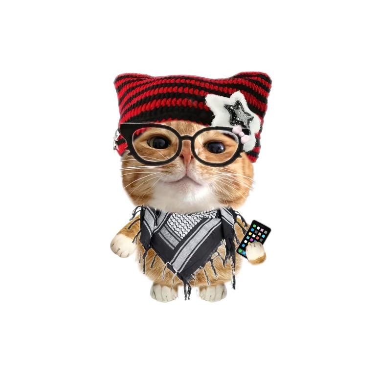 煎妮·猫鼠军团