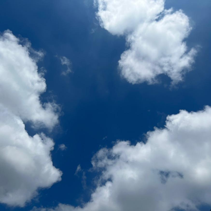 🍓 睡不醒的大王