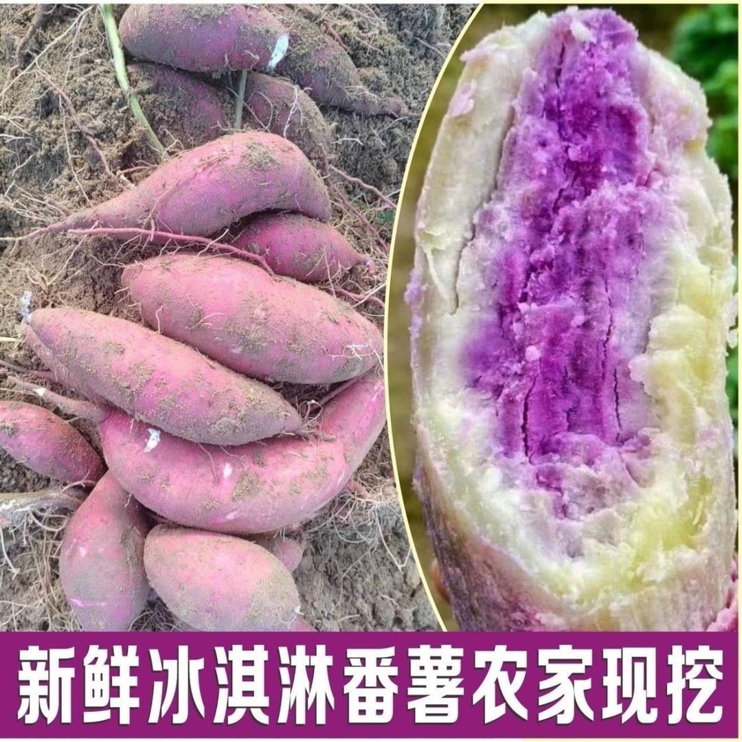 岭南生鲜特产