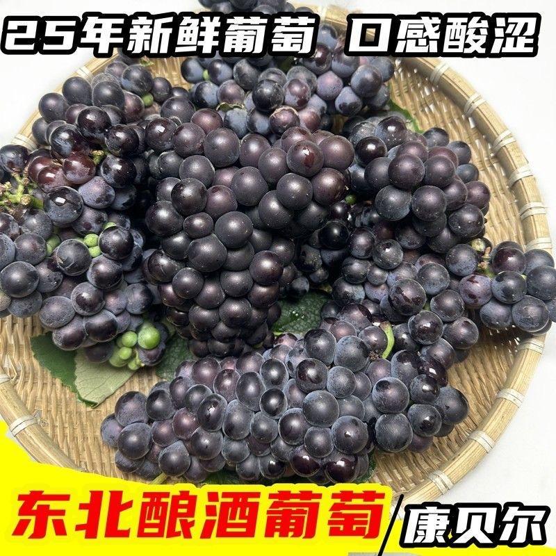 为来可期