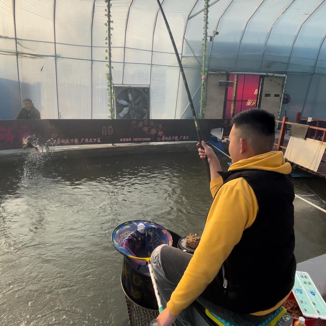 牛马羊-顺子🎣