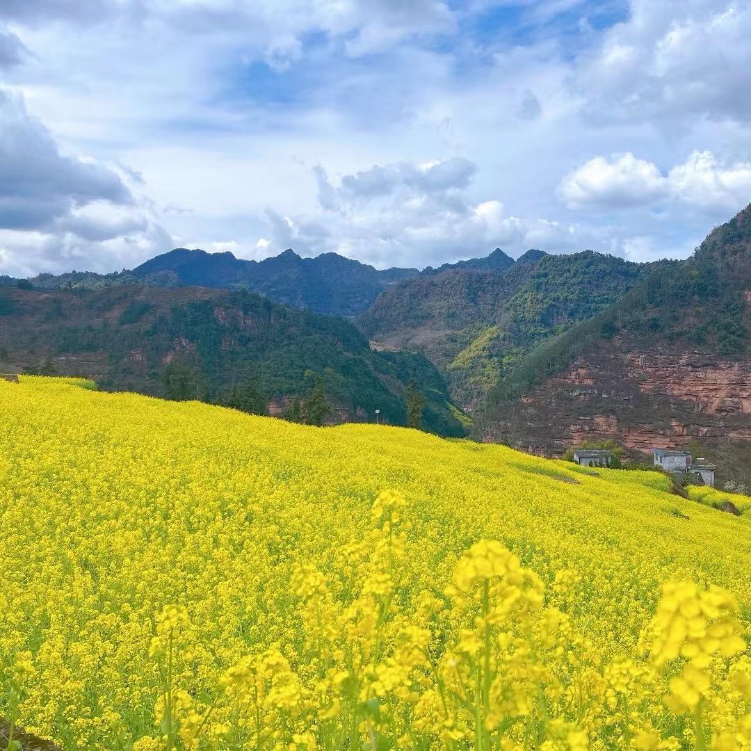 小甘同学在乡村～