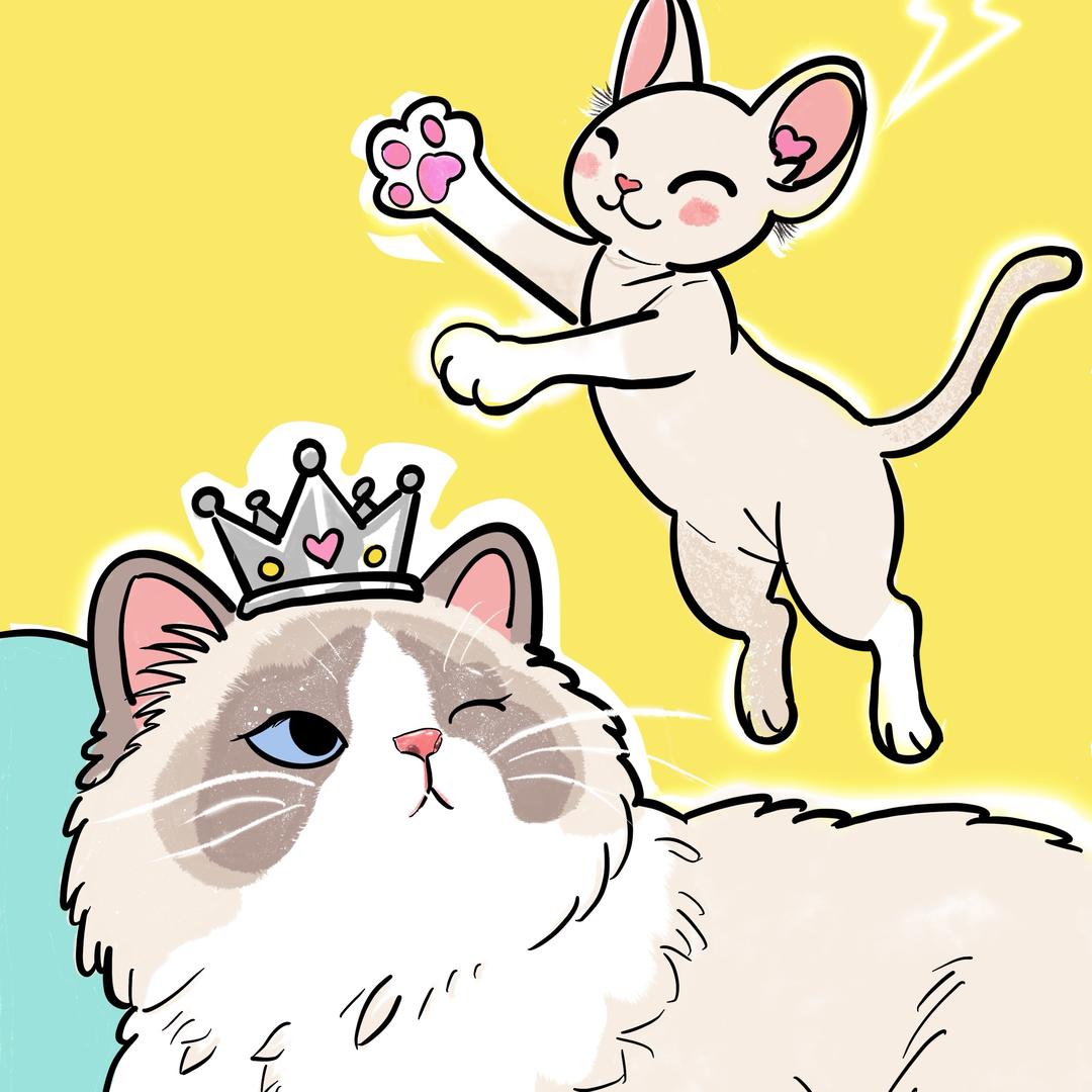 懒YY🐱