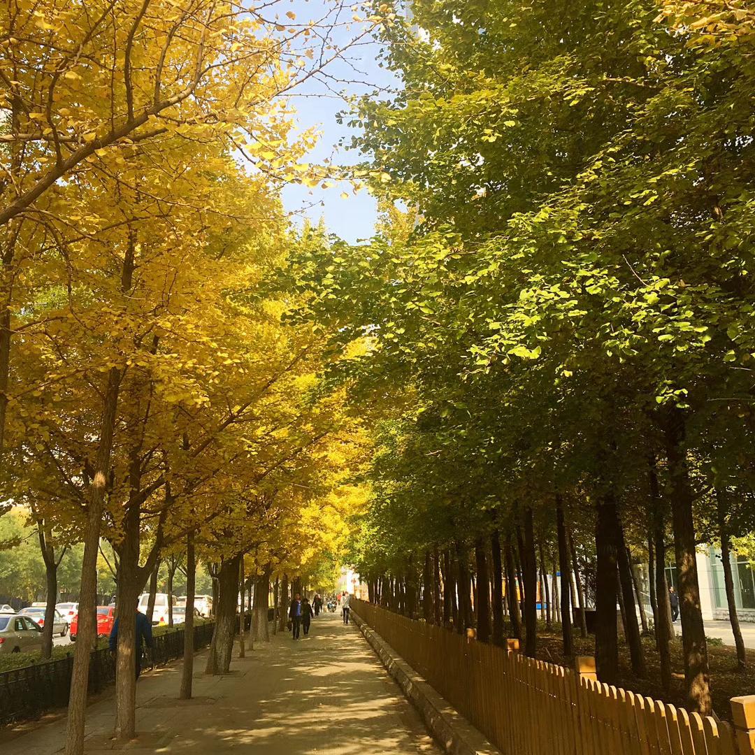 宏巷商贸精选店