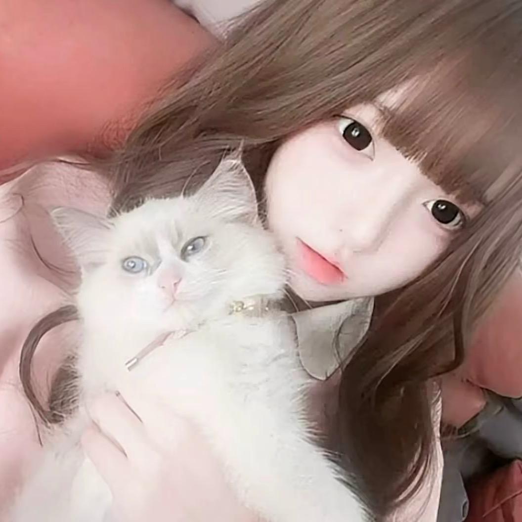 木木鱼🐟