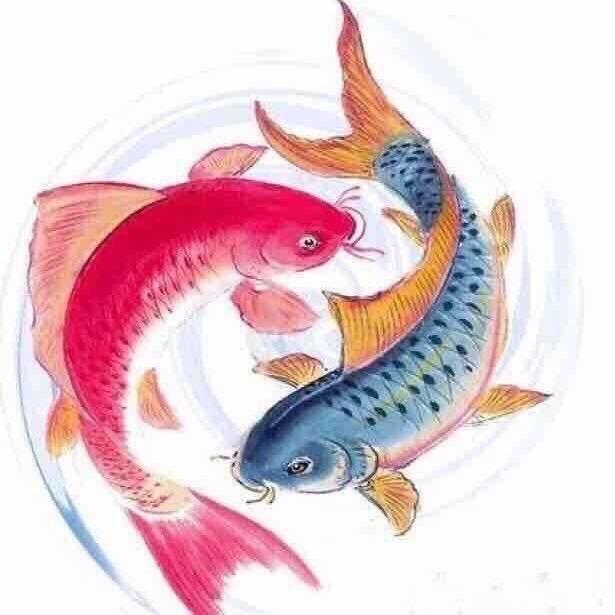 明ZR说