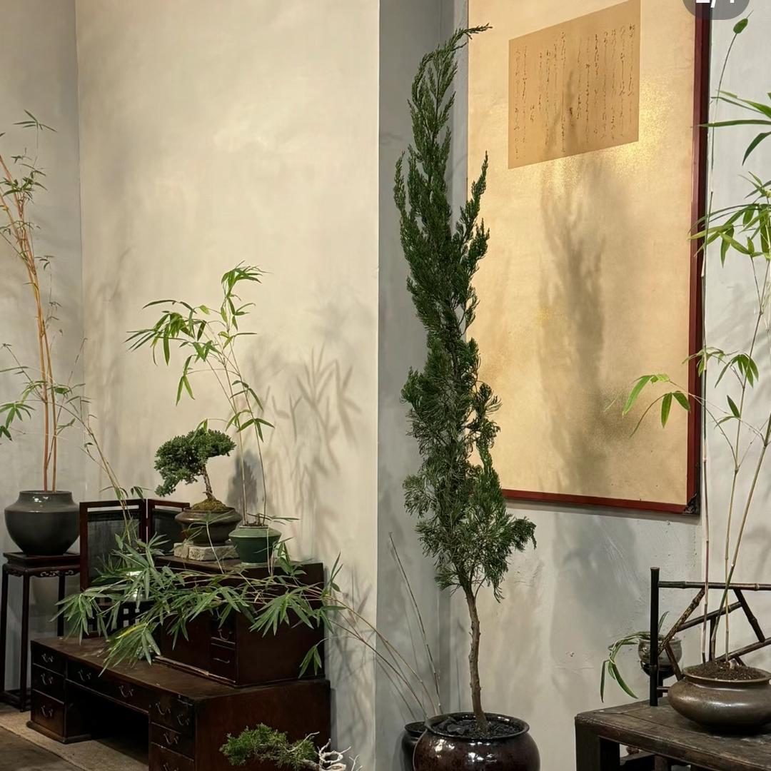 妄春山居