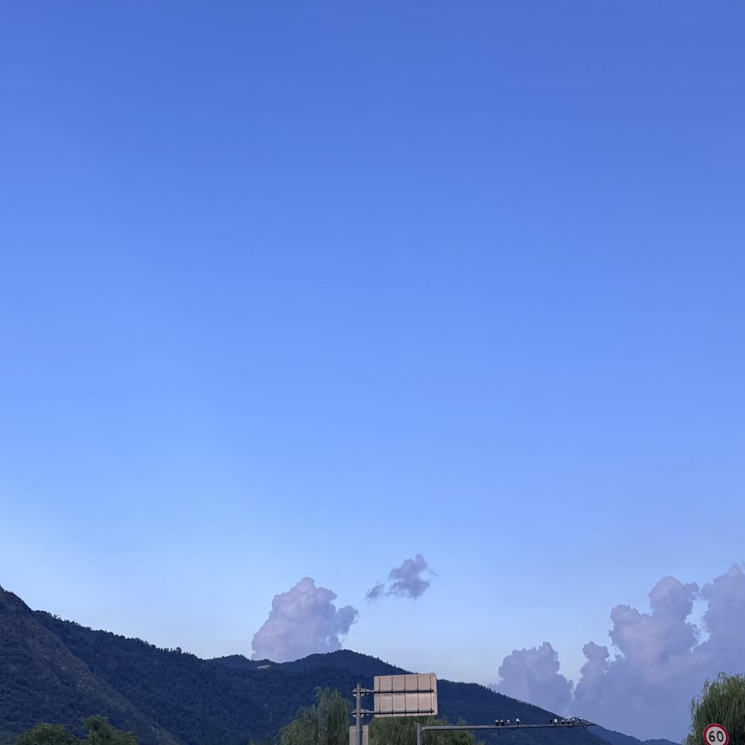 成枫艳女装旗舰店