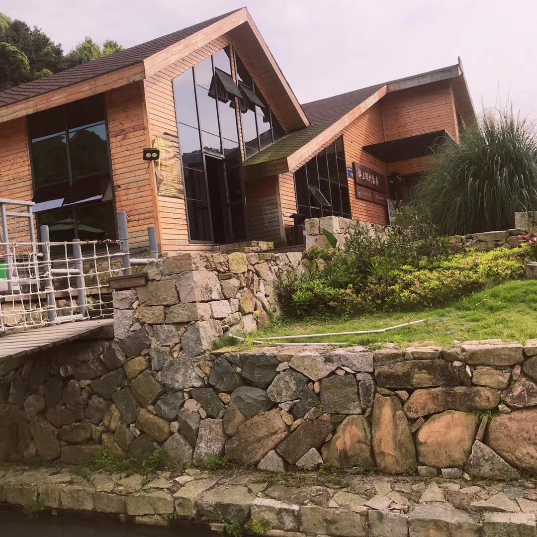 踮起脚尖靠近阳光