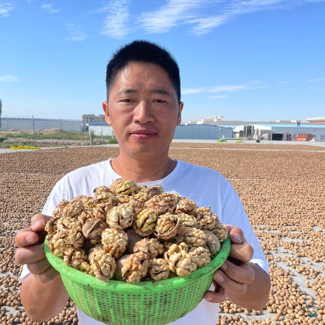 鲁家果源坚果旗舰店