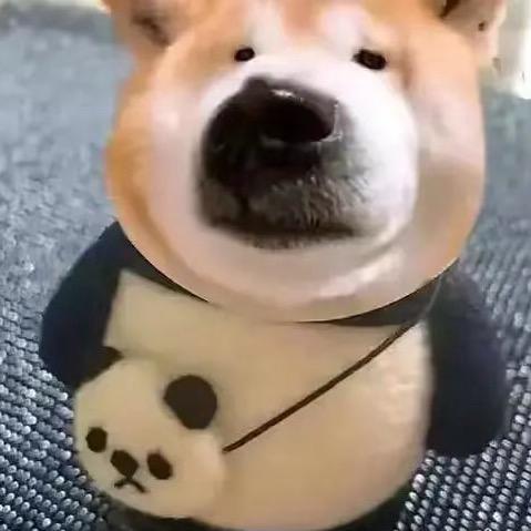 回合阿三