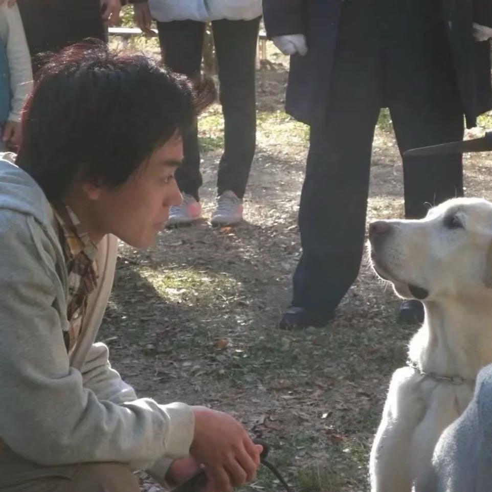 假如我丢了一只鞋