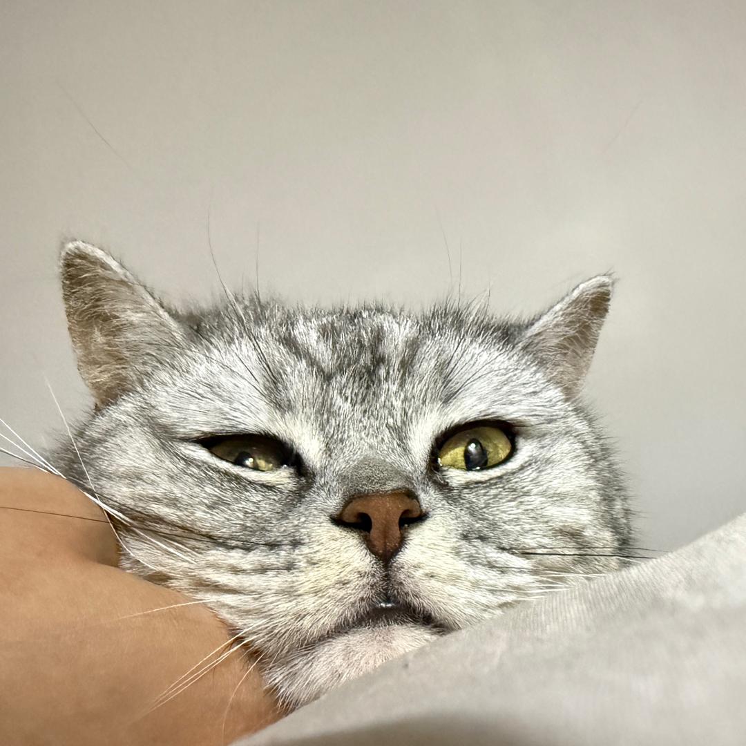 L；