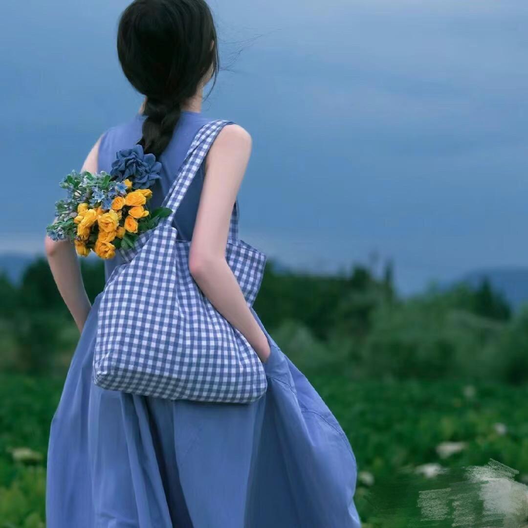 TianLan