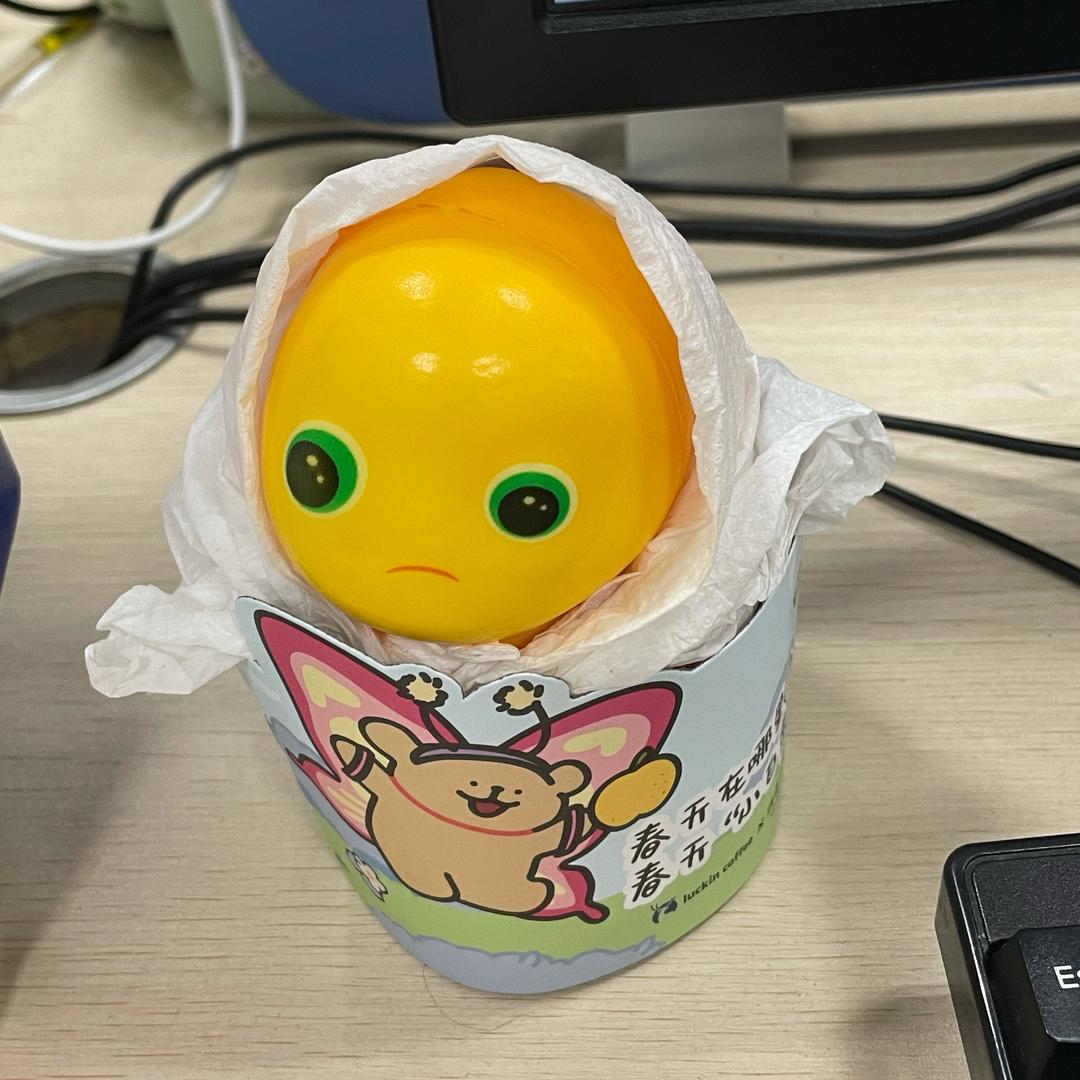 迷途不太好
