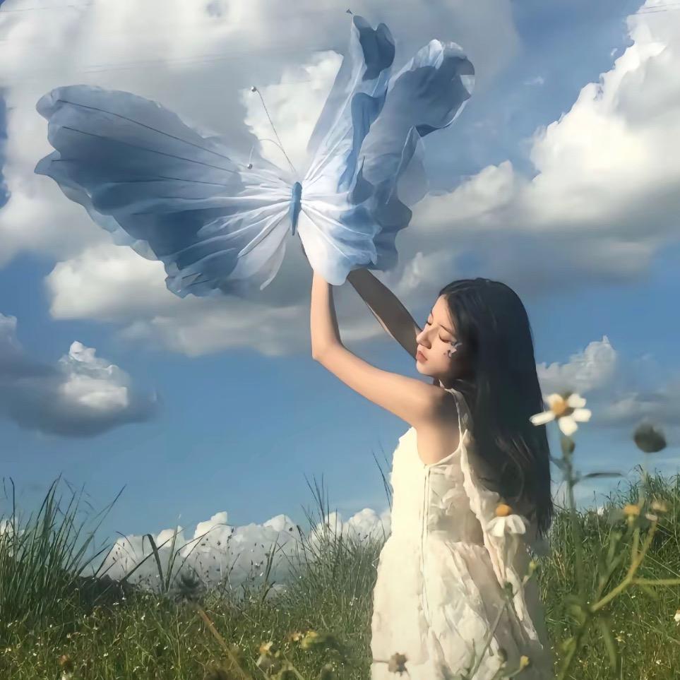 小小吖（定数）