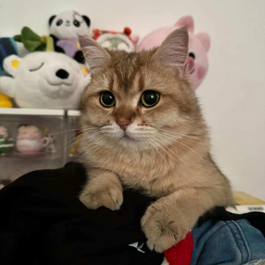 想要发财一员工