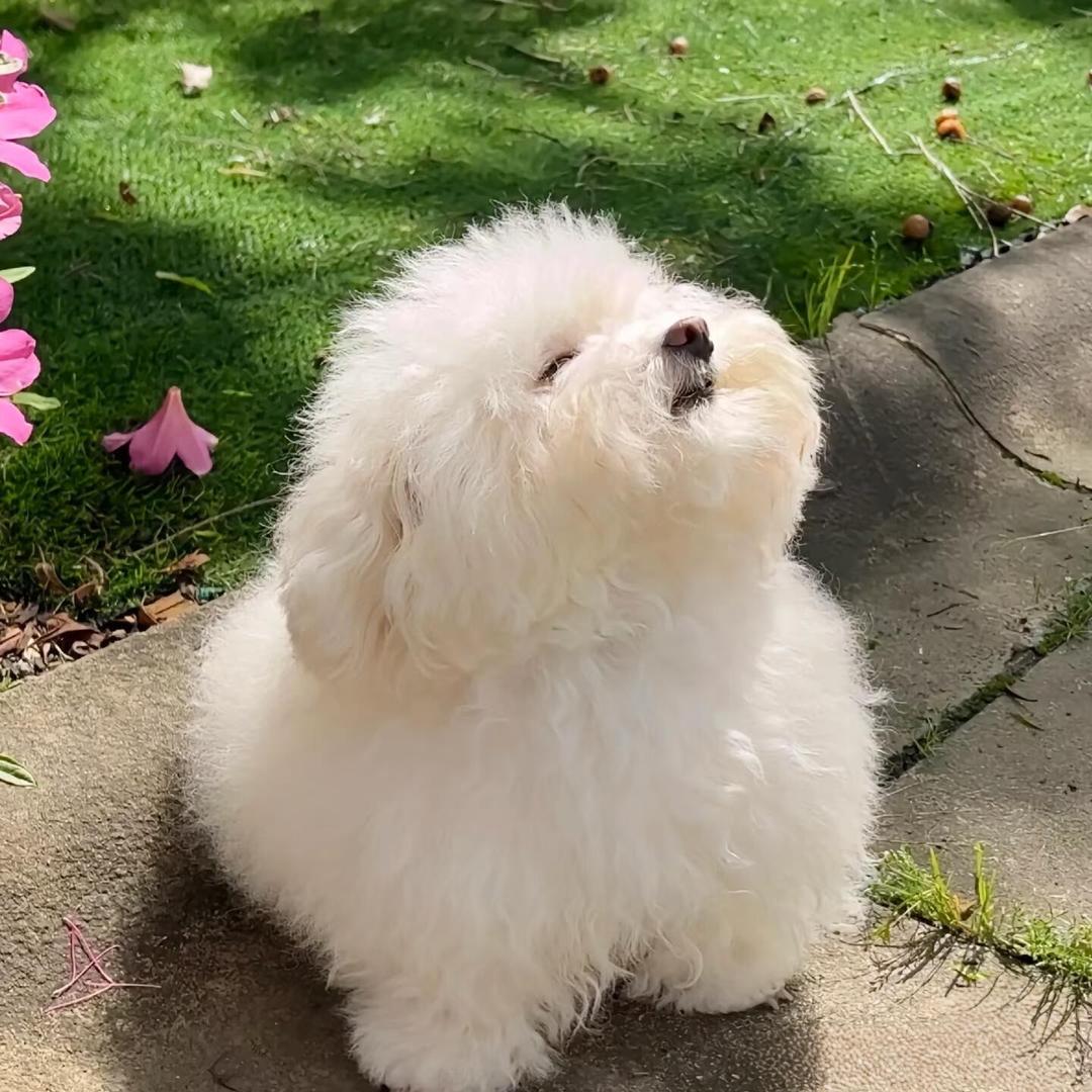 小欢喜