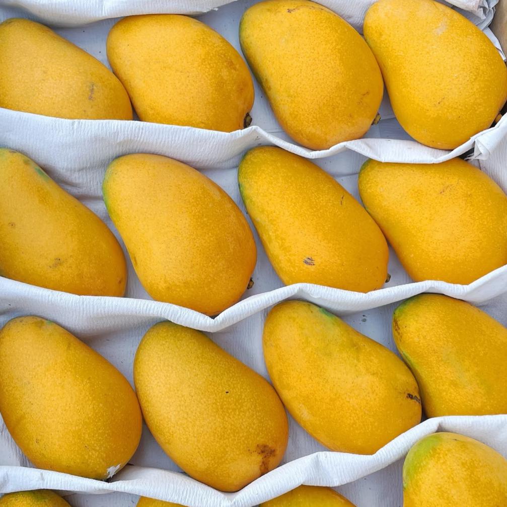 热带果香阿胖水果