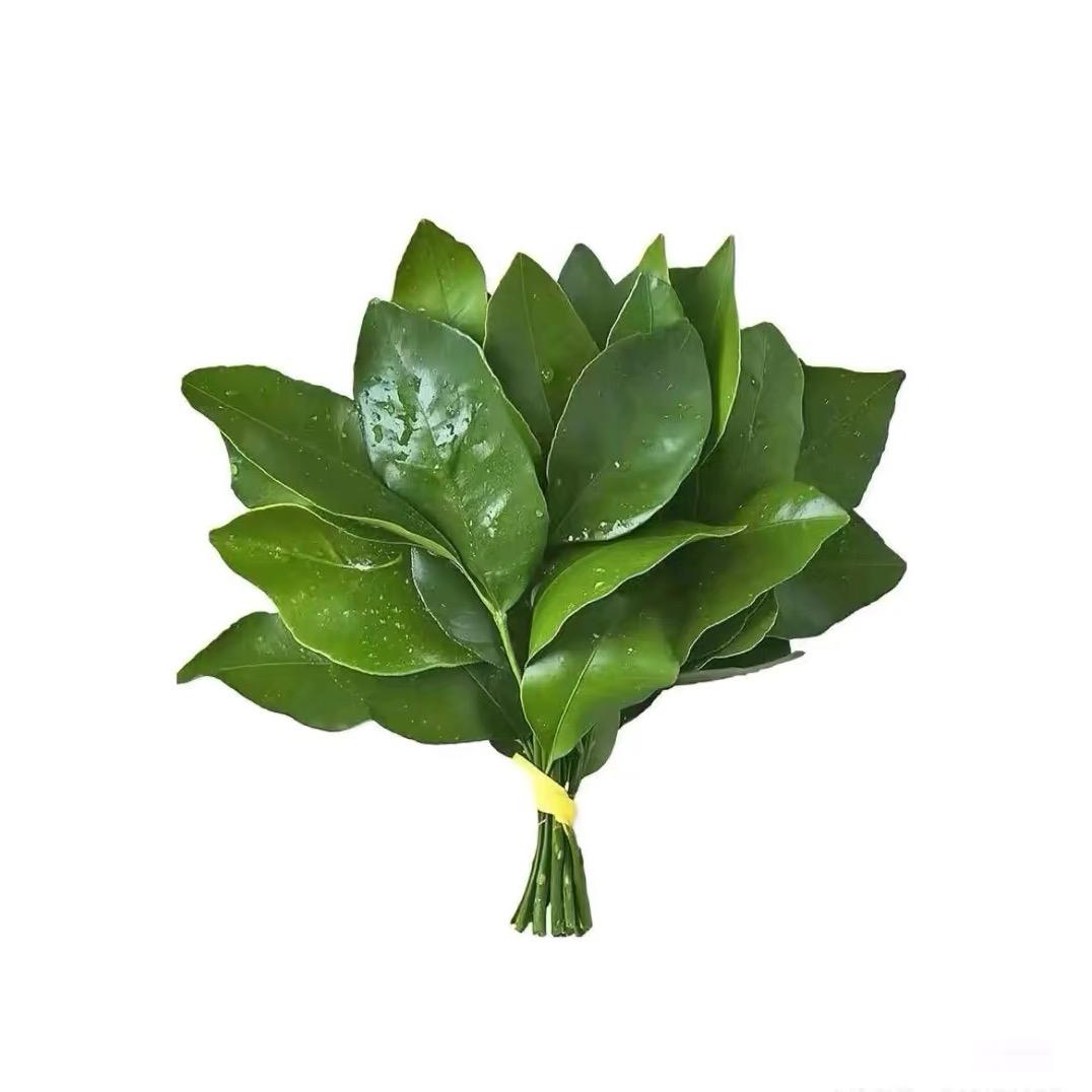 艾上燃燃