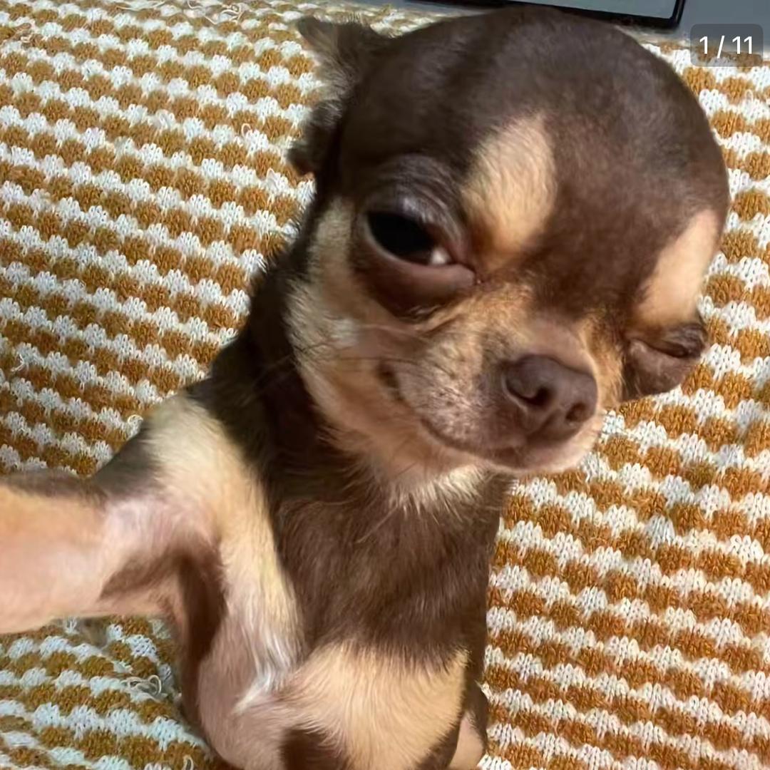 洗袜袜😋（Steven）