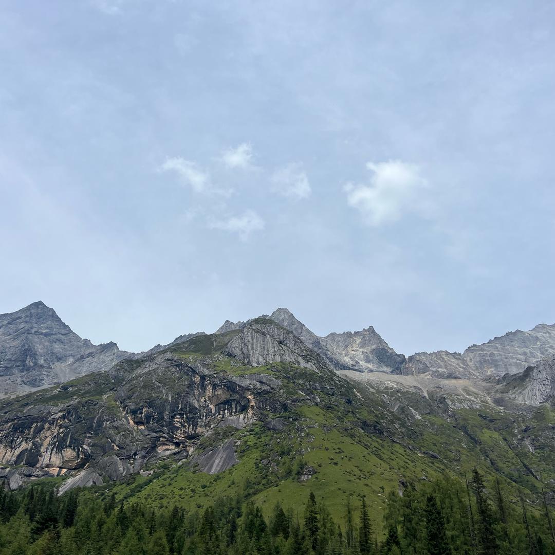 梅子(重生归来）