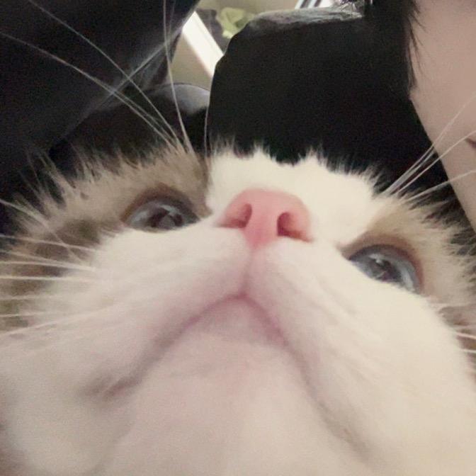 早操滚