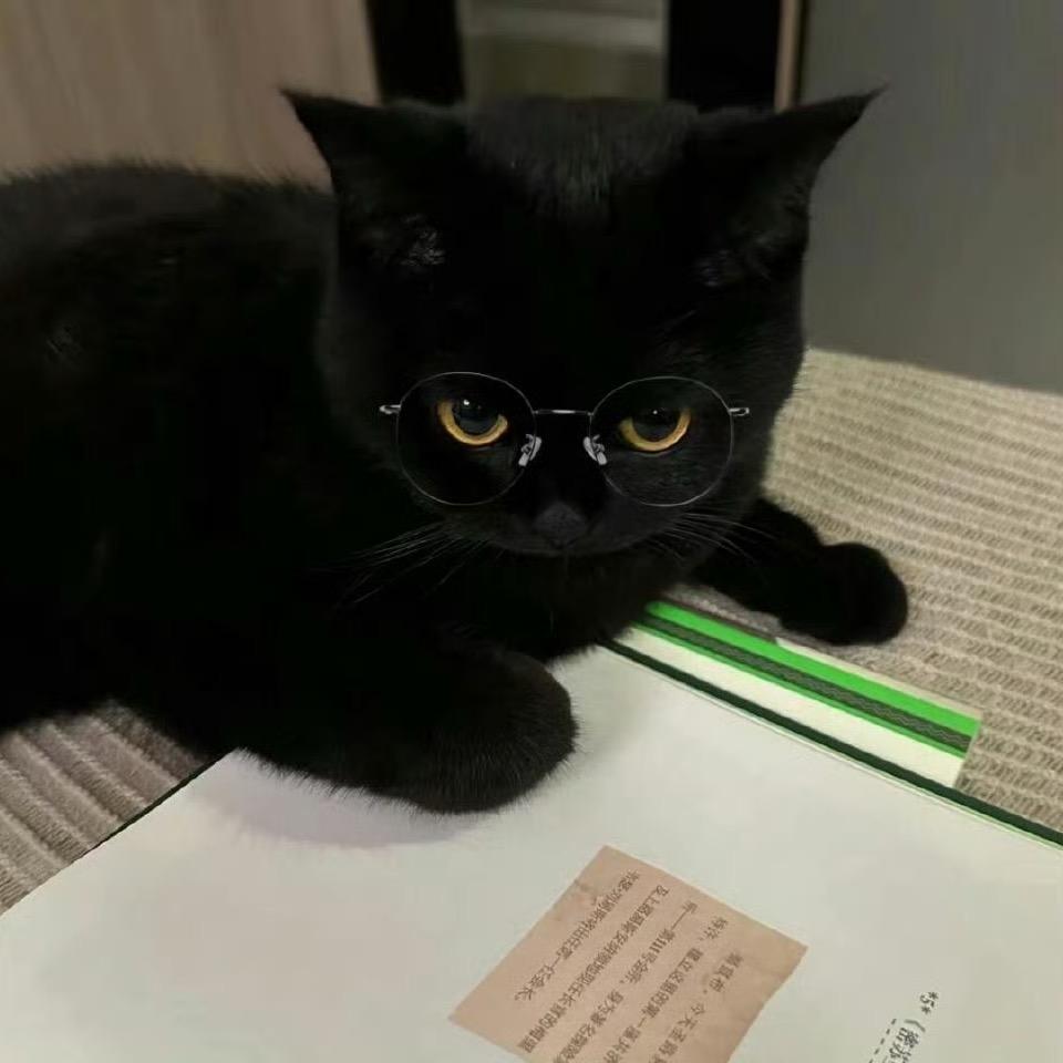 🐯🐯🐯