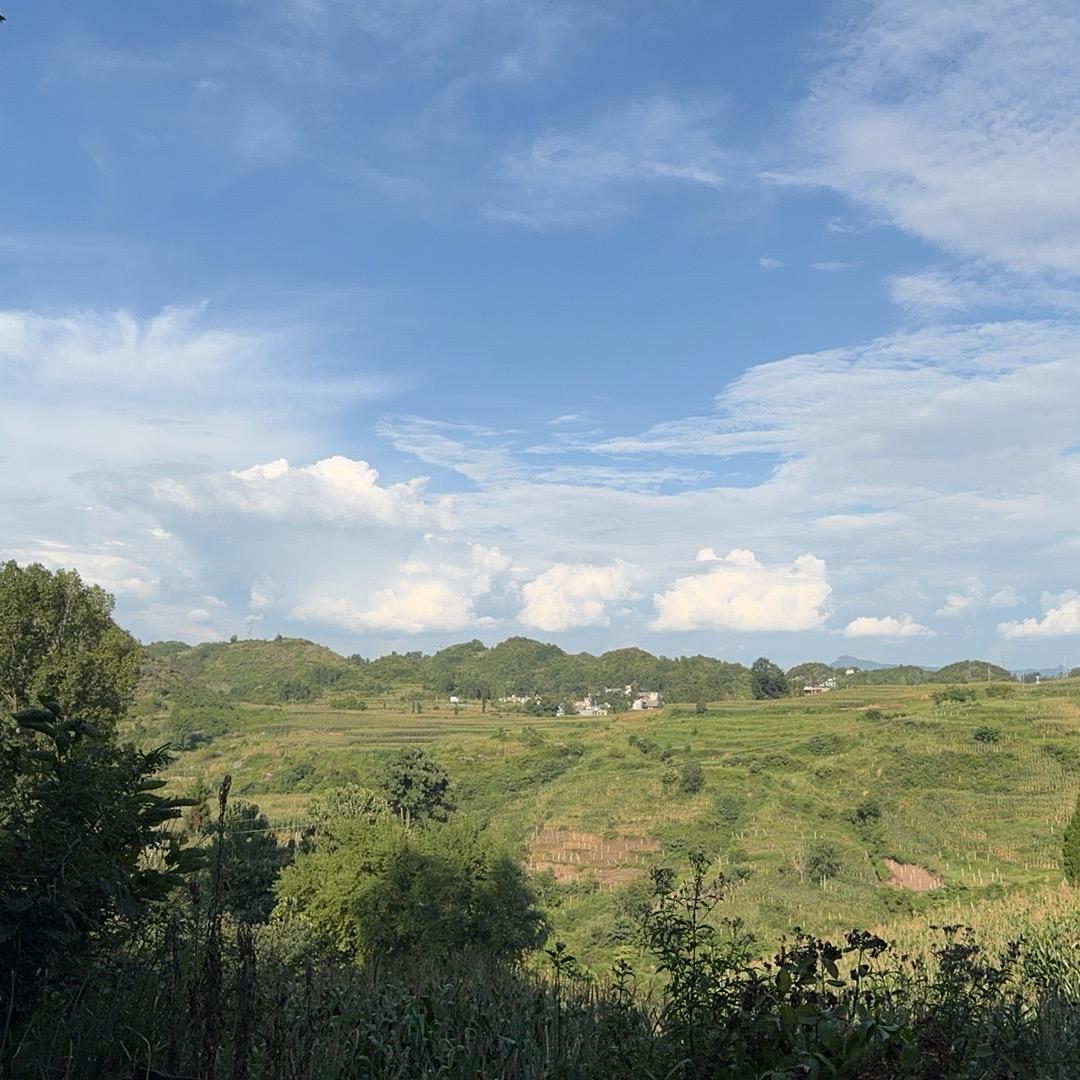 子李