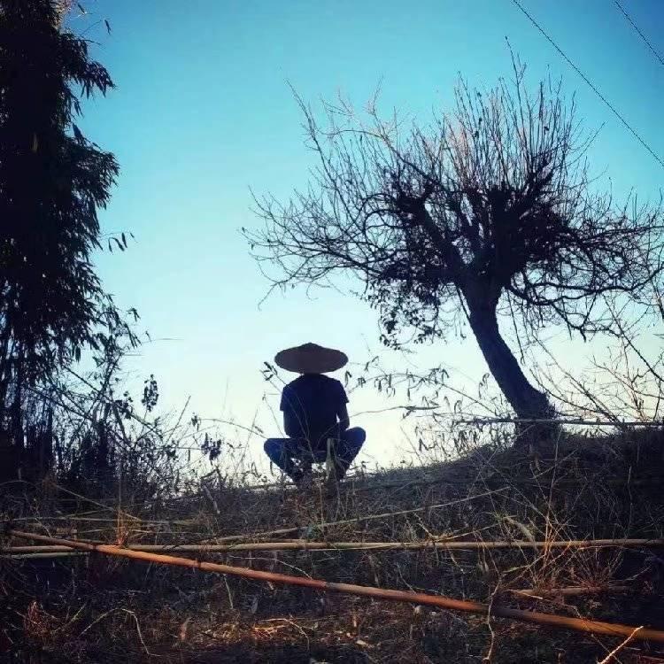 黄多鱼🐟。。。