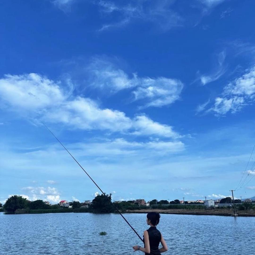 孙总鱼线