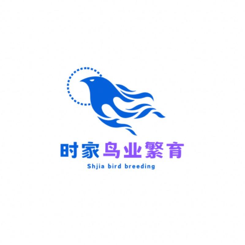 云缦宠物创意屋