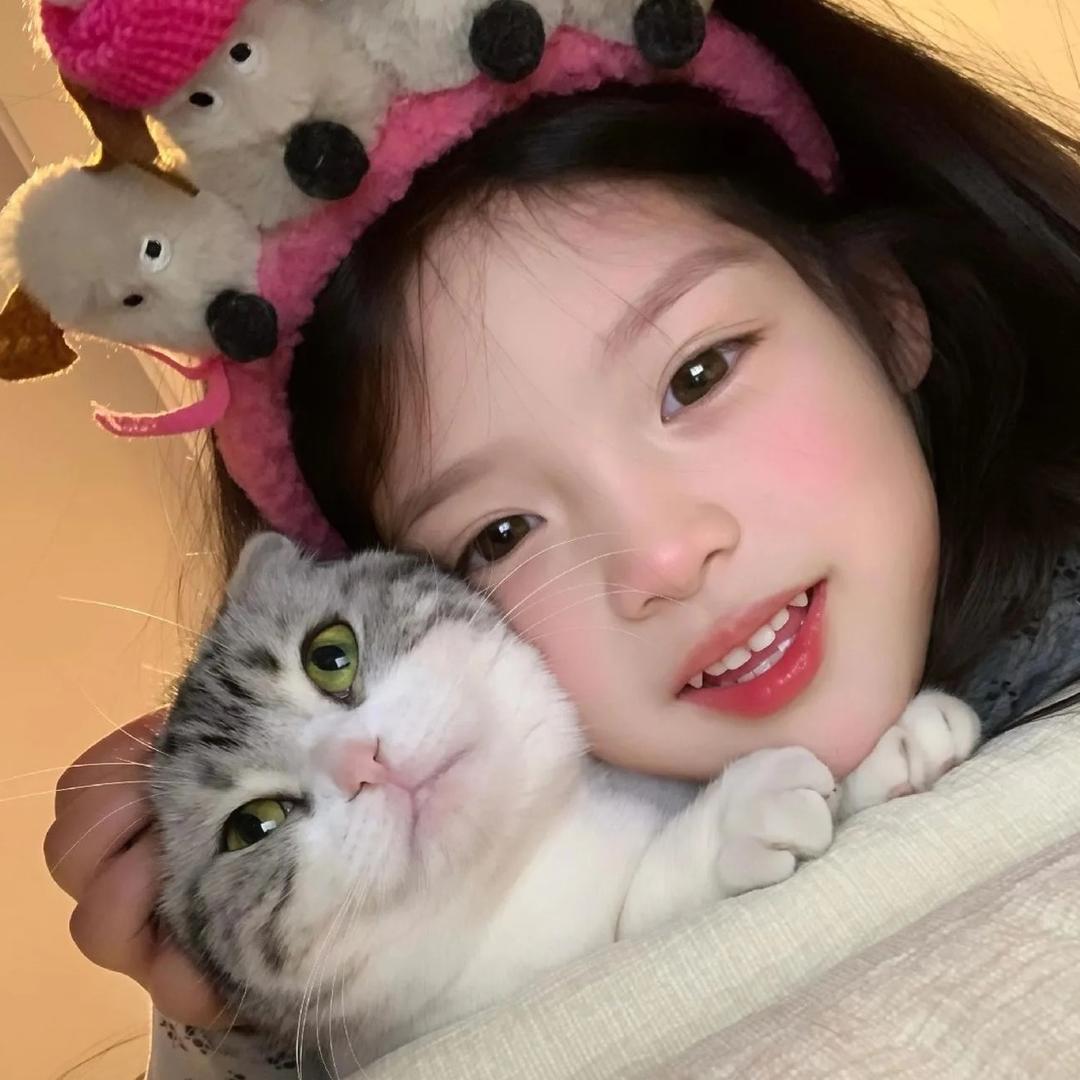 数码优选好机子