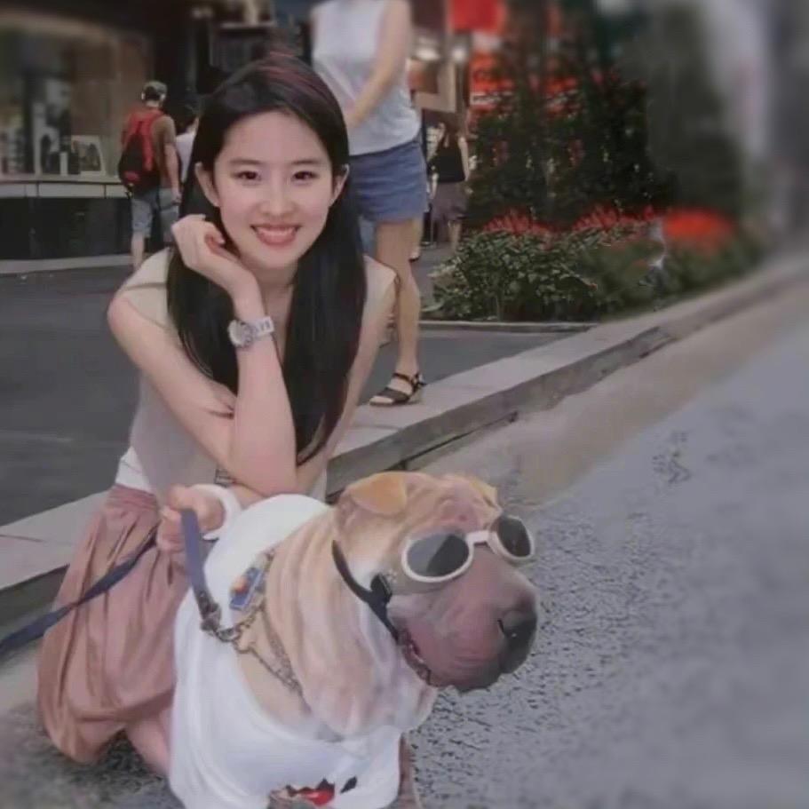 上称有点陈