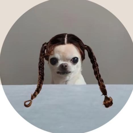 火鸡面博士后