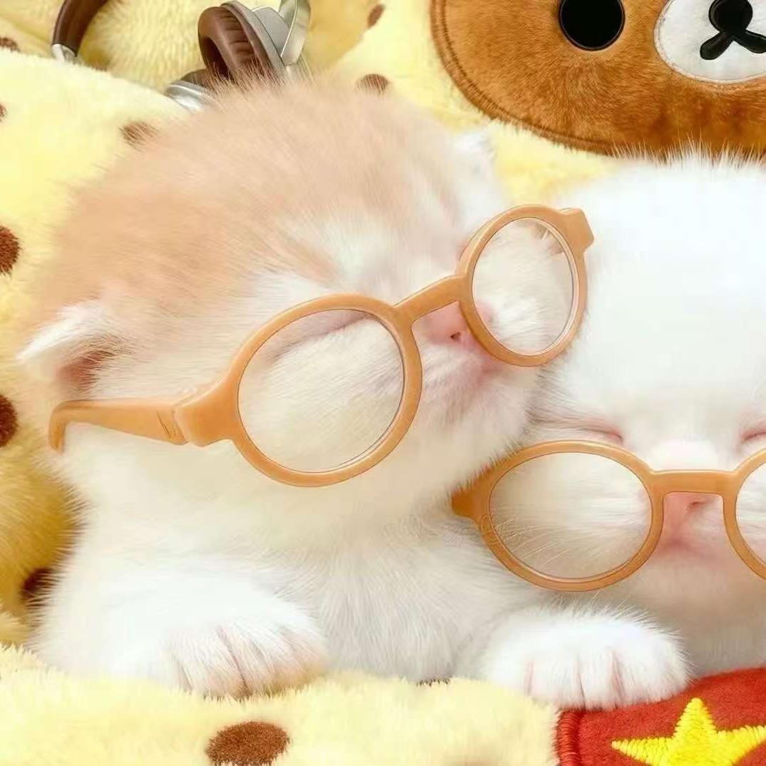 半眠小糖