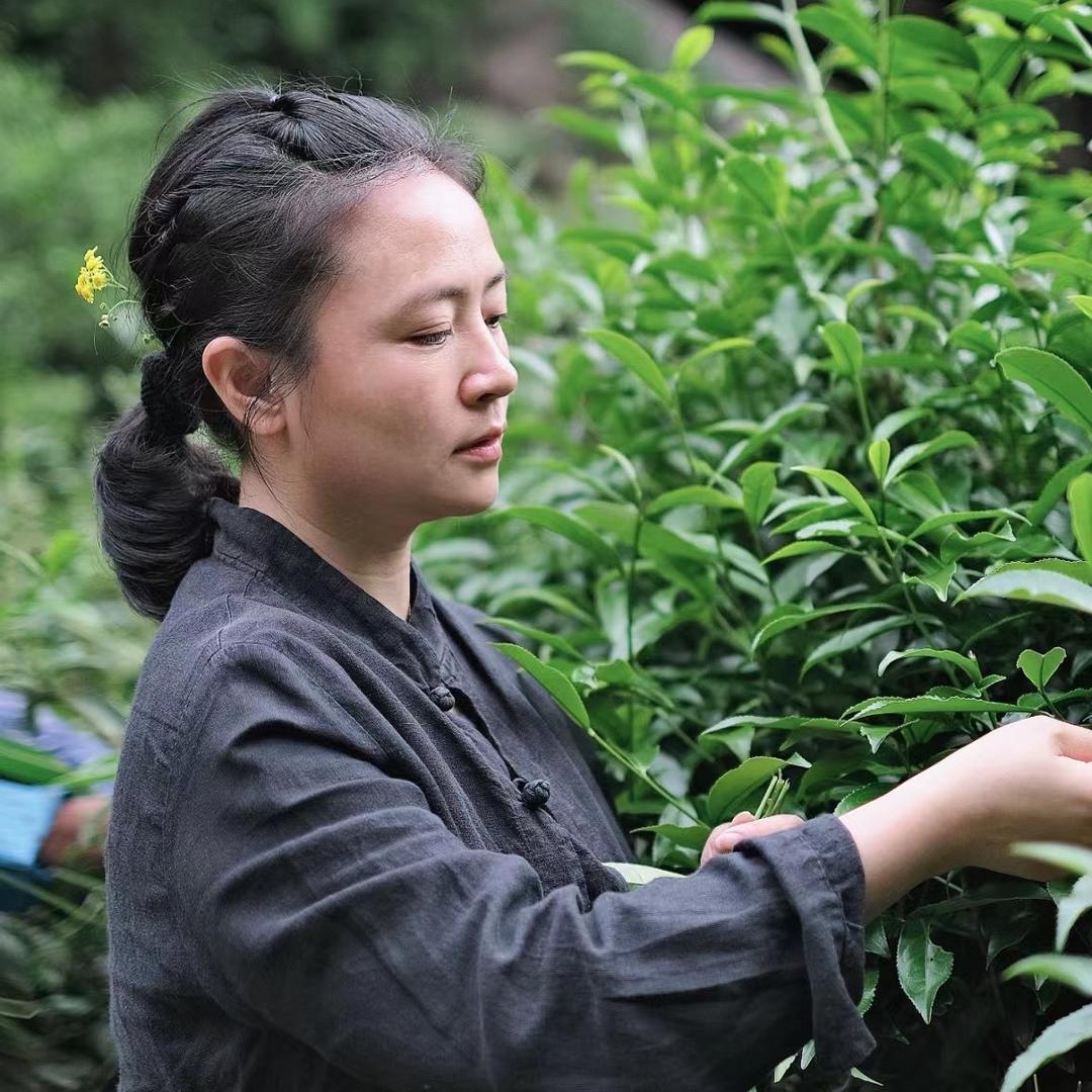茶隐山房茶叶旗舰店