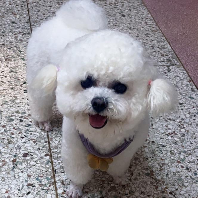 郑家小姐姐🫰🫰🫰