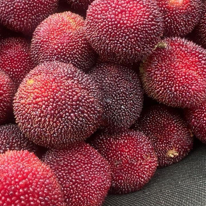 卖杨梅的小朱